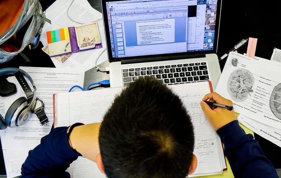 Students studying together