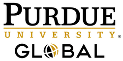 University partner logo